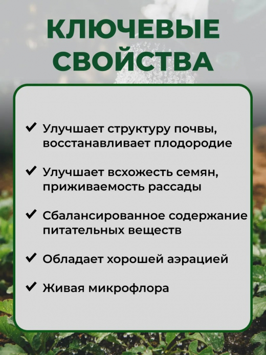 ГРУНТ 3л АЗАЛИЯ ВГ
