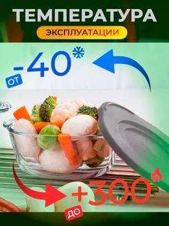 БОРЖАМ - лоток с крышкой 400*250*61