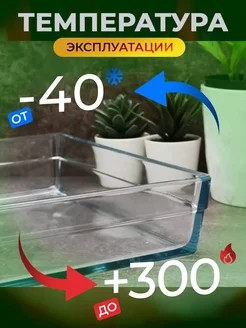 БОРЖАМ - форма 227*227*65мм 2,4л квадрат