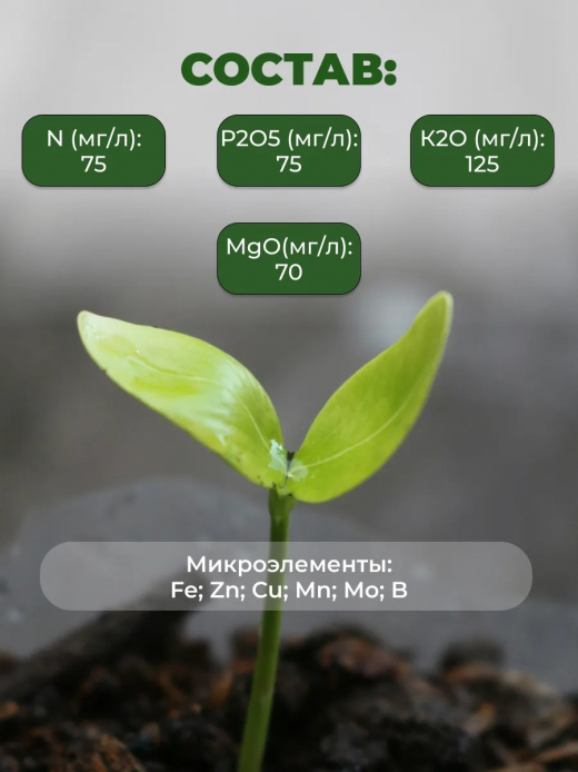 ГРУНТ 3л АЗАЛИЯ ВГ