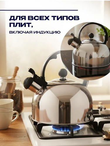 Чайник стальной 2,5л индукция RWK007