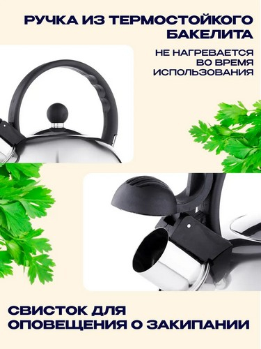 Чайник стальной 2,5л индукция RWK007