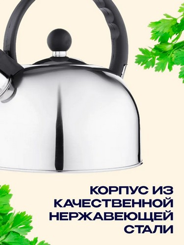 Чайник стальной 2,5л индукция RWK007