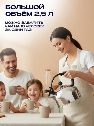 Чайник стальной 2,5л индукция RWK007