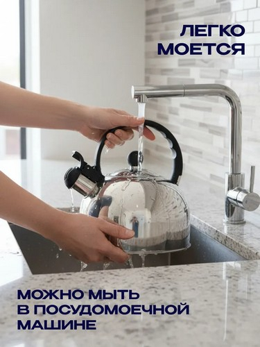 Чайник стальной 2,5л индукция RWK007