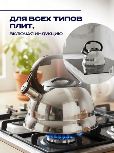 Чайник 2,5л стальной Корсика индукция