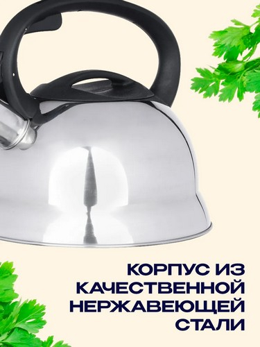 Чайник 2,5л стальной Корсика индукция