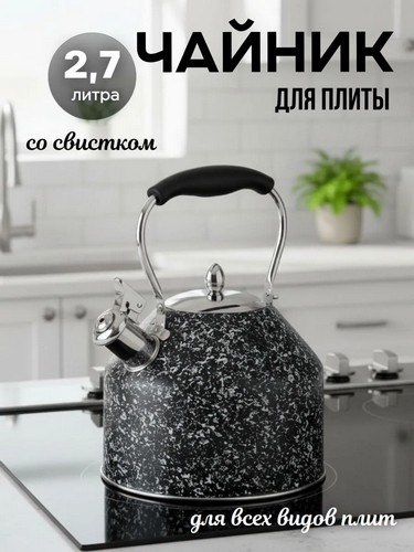 Чайник стальной 2,7л Терра индукция
