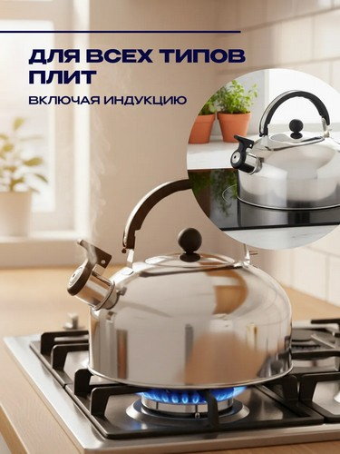 Чайник стальной 2,5л индукция