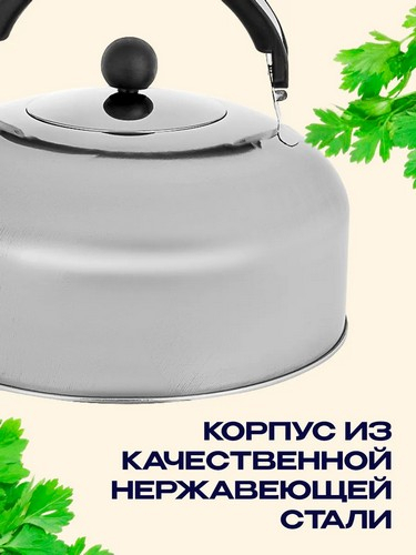 Чайник стальной 2,5л индукция