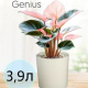 Горшок для цветов 3,9л d182 h180мм молочный Genius