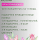 Удобрение 0,2л для Лилий Гладиолусов и лук/раст Цветочный рай