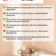 Кастрюля 3,6л 20х12,5см со стекл крышкой индукция Бирмингем