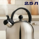 Чайник стальной 2,5л индукция RWK007