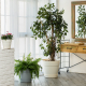 ФЛОРА - горшок 20л 360мм утренний туман на колесиках